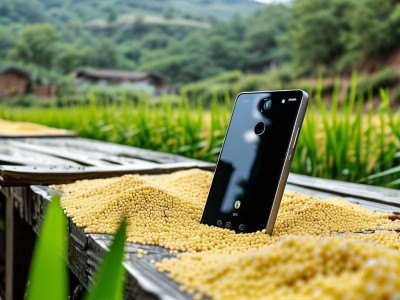 小米手机位置在哪里找