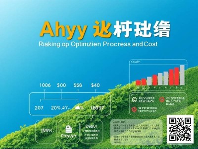 安阳网站排名优化流程及费用