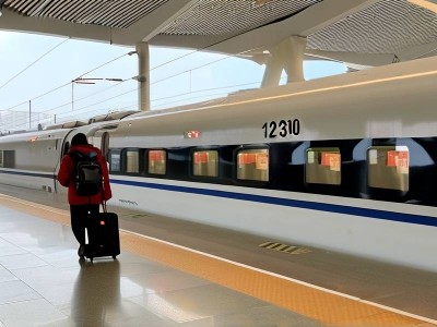 12306买票报错43003